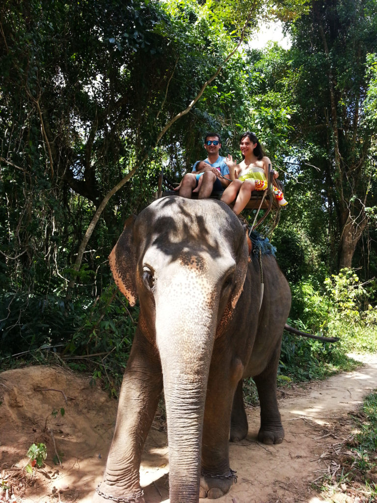 Phuket' en iyi fil safarisini bulabileceğiniz yerlerden.