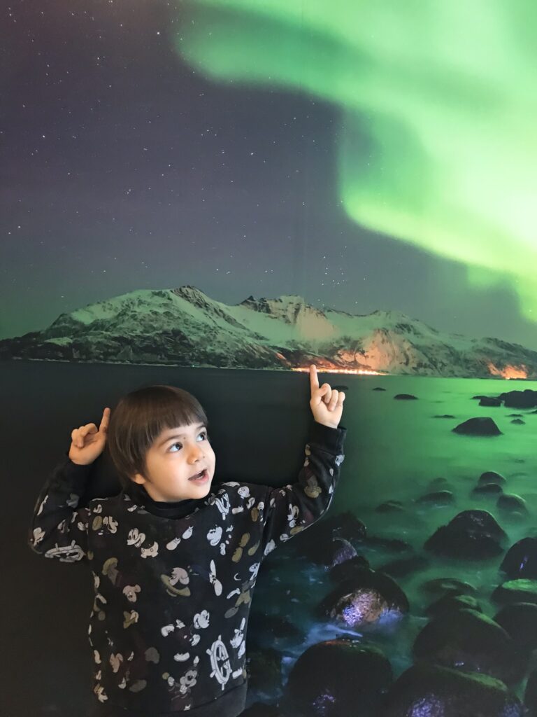İzlanda Kuzey ışıklarını görebileceğiniz en güzel ülkelerden